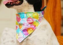 Load image into Gallery viewer, We&#39;re Gonna Pawty Like It&#39;s My Birthday!