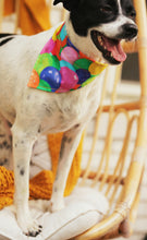 Load image into Gallery viewer, I Woof a Good Birthday!